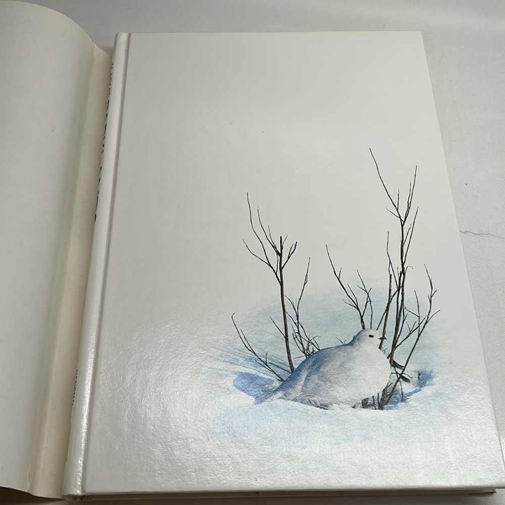 💕 Vintage Alaska's Magnificent Parklands National Geographic Society Book - Picture 5 of 16